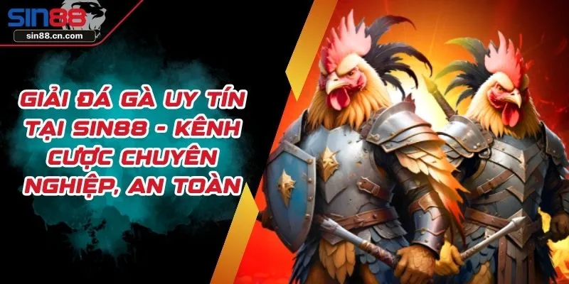 Giải Đá Gà Uy Tín Tại SIN88 - Kênh Cược Chuyên Nghiệp, An Toàn