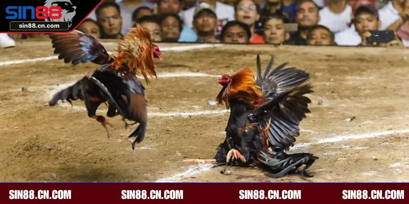 Sảnh được đánh giá cao bởi nhiều chuyên gia 